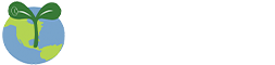 青苗国际双语学校