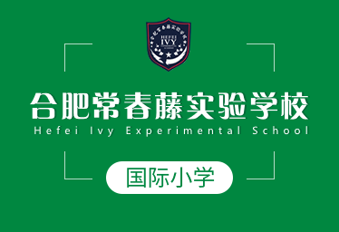 合肥常春藤实验学校国际小学招生简章图片