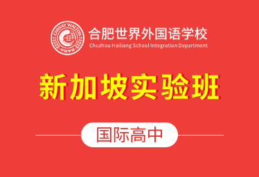 合肥世界外国语学校国际高中（新加坡实验班）招生简章图片