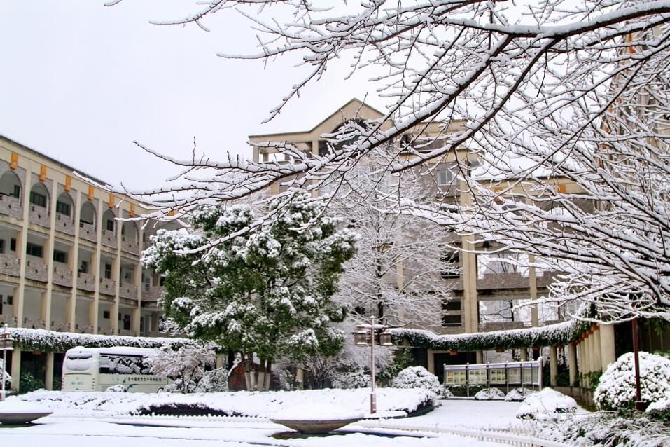 杭州师范大学附属中学国际部四季风光图集01