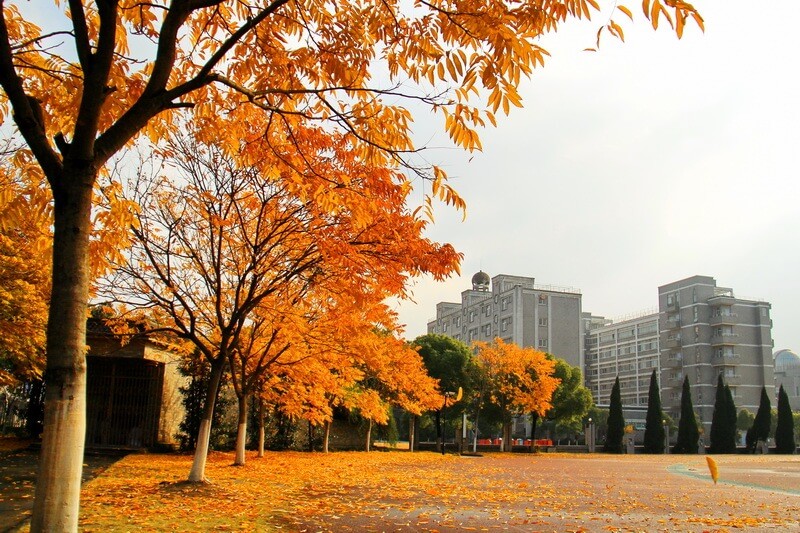 杭州师范大学附属中学国际部四季风光图集01