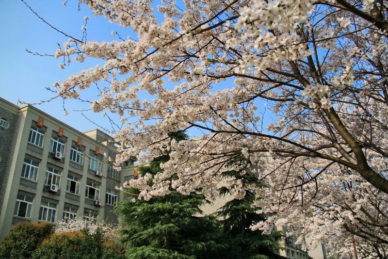 杭州师范大学附属中学国际部四季风光图集01