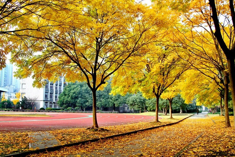 杭州师范大学附属中学国际部四季风光图集01